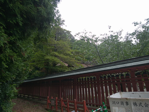 a0057057_22101785.png