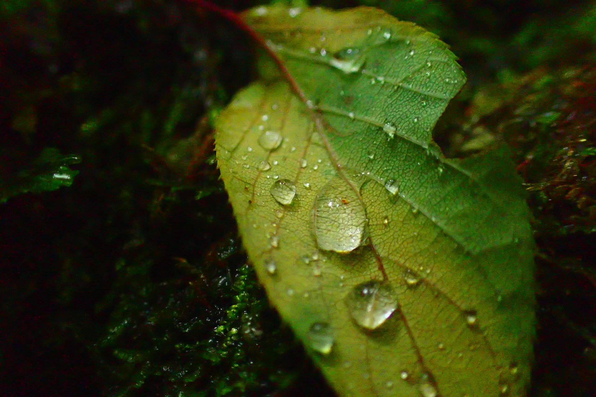 b0160957_08451836.jpg