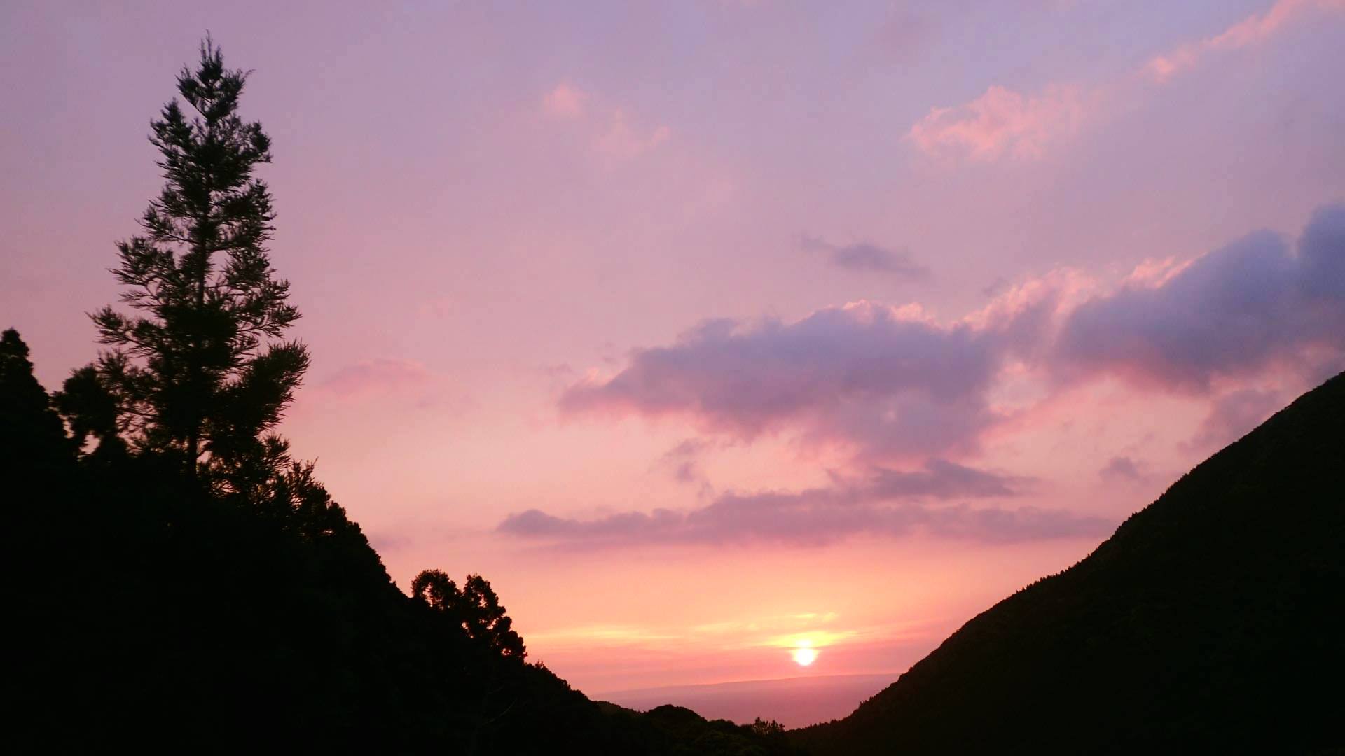 b0160957_08453159.jpg
