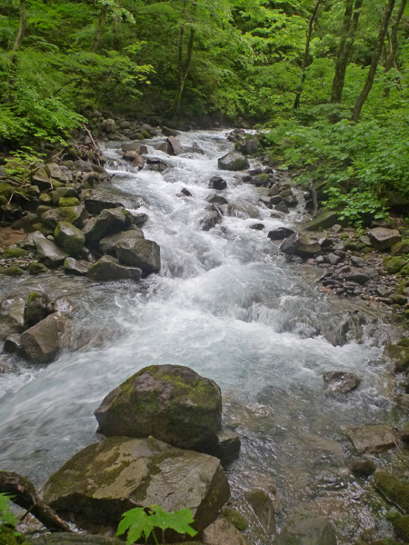 b0277159_19041372.jpg