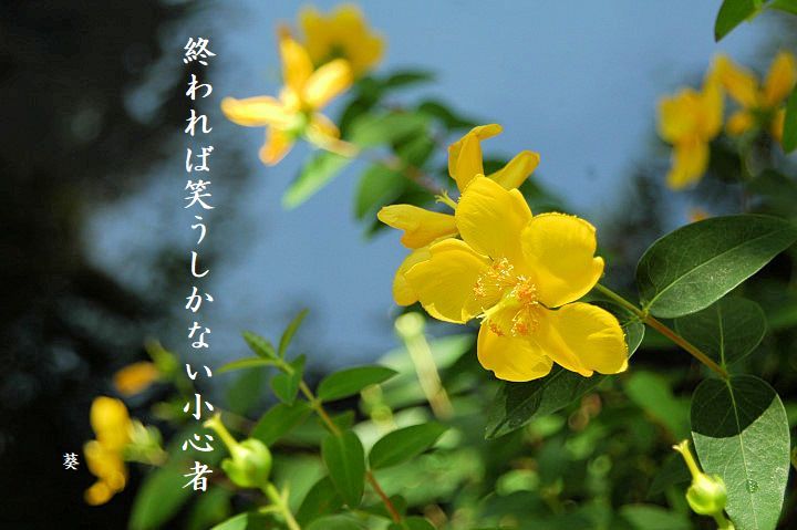 f0379160_16163521.jpg