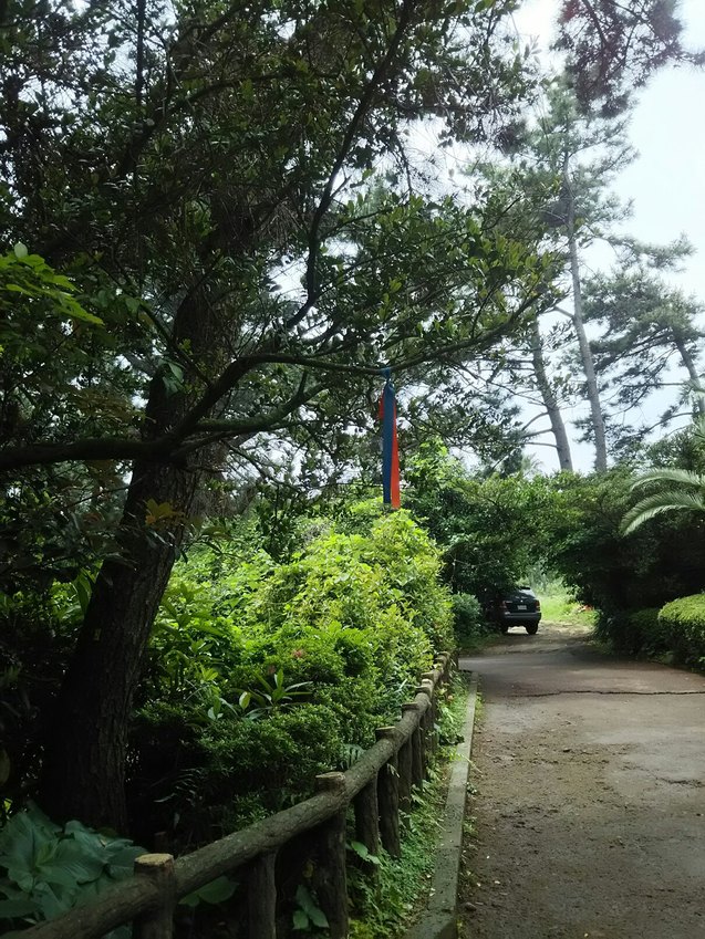 f0000262_1691069.jpg