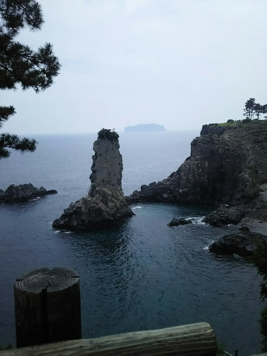 f0000262_169113.jpg