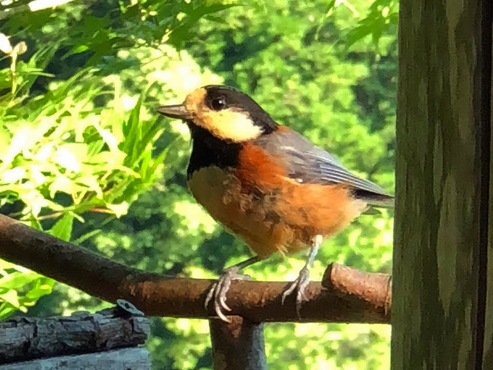c0123363_11135282.jpg