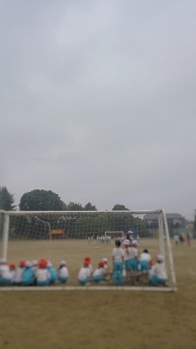 d0174664_16273586.jpg