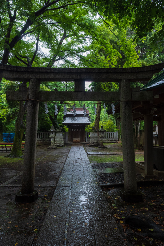 雨の八幡神社_a0261169_13250072.jpg
