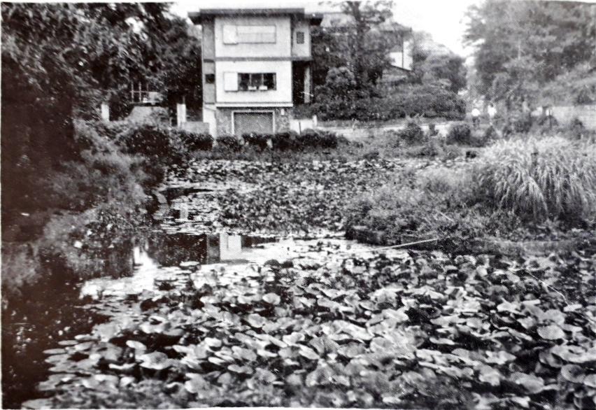 気晴らし猫ネズミ蛙歩き※ガマ池補記、地図、写真追加(2 )_b0116271_15095453.jpg