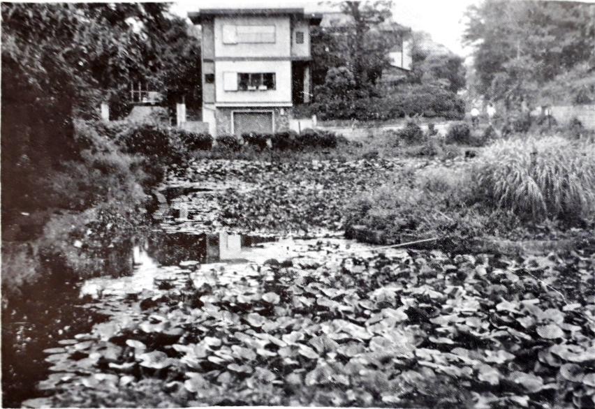 気晴らし猫ネズミ蛙歩き※ガマ池補記、地図、写真追加（2 ）_b0116271_15095453.jpg