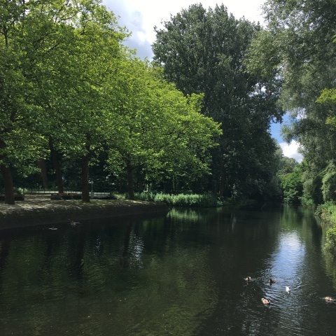 f0275876_04001337.jpeg