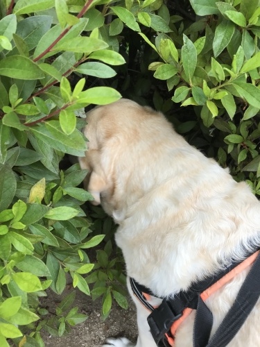 f0315081_22313527.jpeg