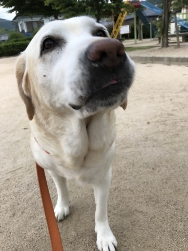 f0315081_22342640.jpeg