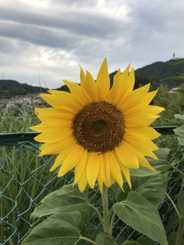 f0315081_22372362.jpeg