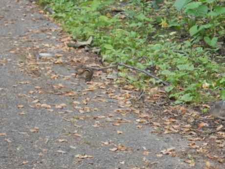 c0253487_01342753.jpg