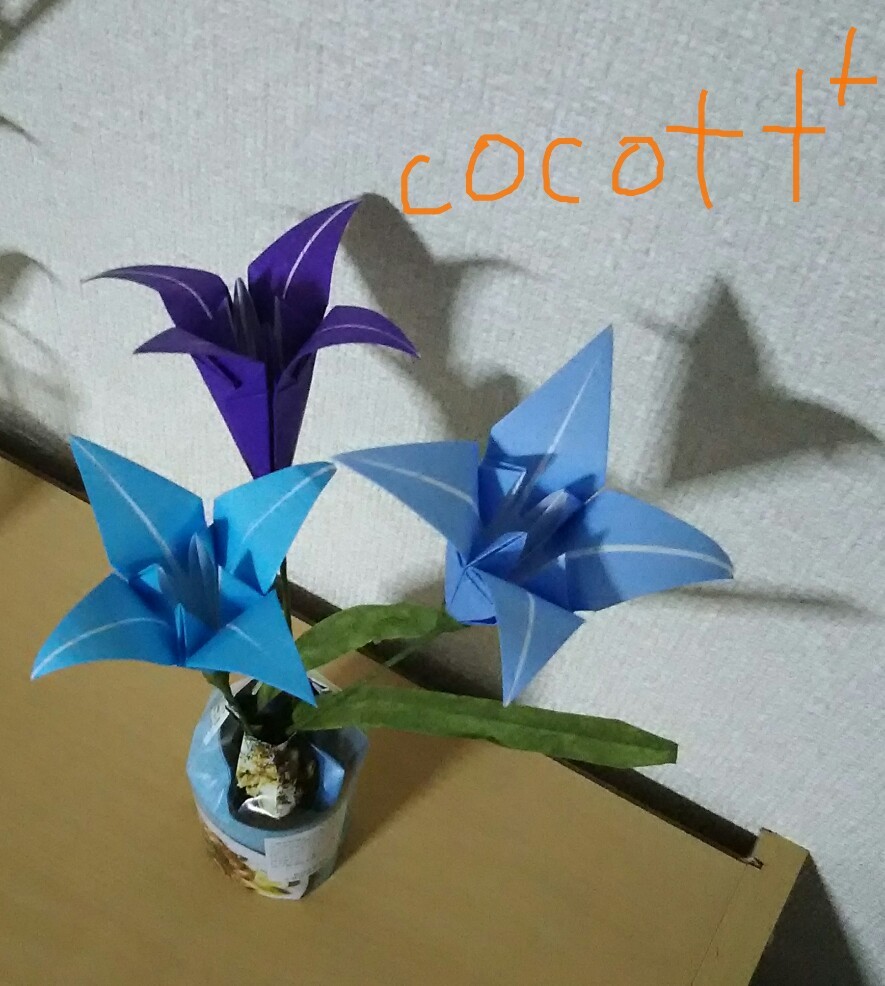 やっと思い出したアヤメの折り方 Cocott やっと思い出したアヤメの折り方 Cocott