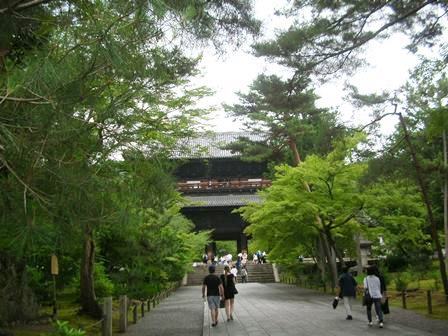 野村碧雲荘の花菖蒲(京都市左京区) : y's 通信 ~季節を彩る 野村碧雲荘の花菖蒲(京都市左京区) : y's 通信 ~季節を彩る