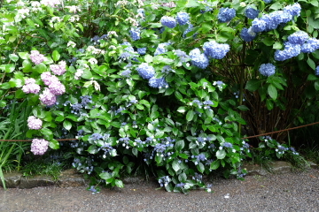 c0339296_08201140.jpg