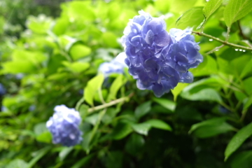 c0339296_08201526.jpg