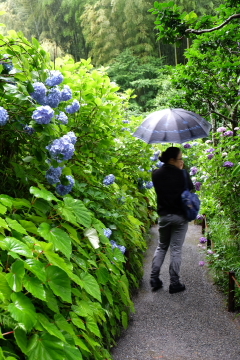 c0339296_08202511.jpg