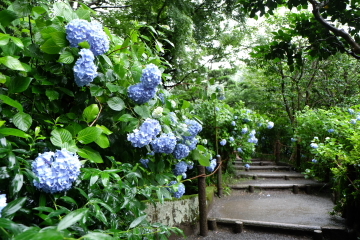 c0339296_08205499.jpg