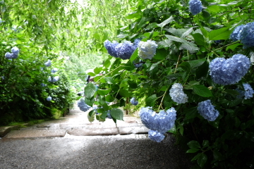 c0339296_08211074.jpg