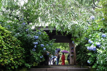 c0339296_08213860.jpg