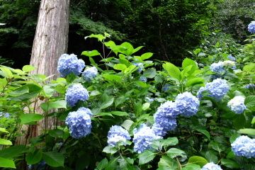 c0339296_08215073.jpg