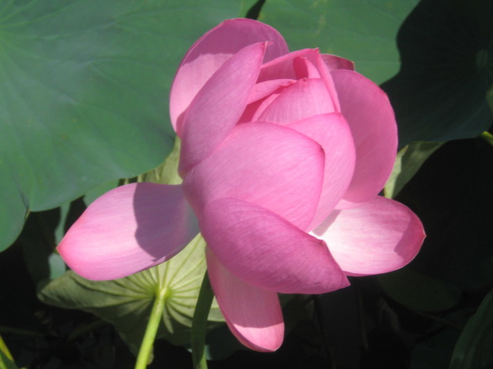 f0201297_01385919.jpg