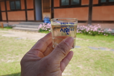 忠清北道ではいろんな文化体験をしてきました!_a0140305_02394974.jpg
