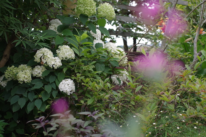 e0271409_08201491.jpg