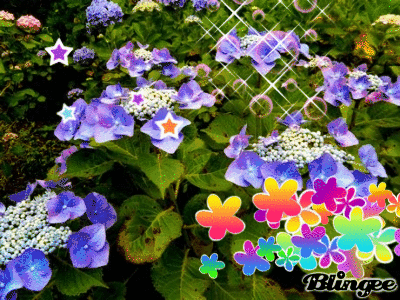 b0352112_21272080.gif