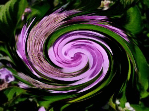 b0352112_21443980.gif