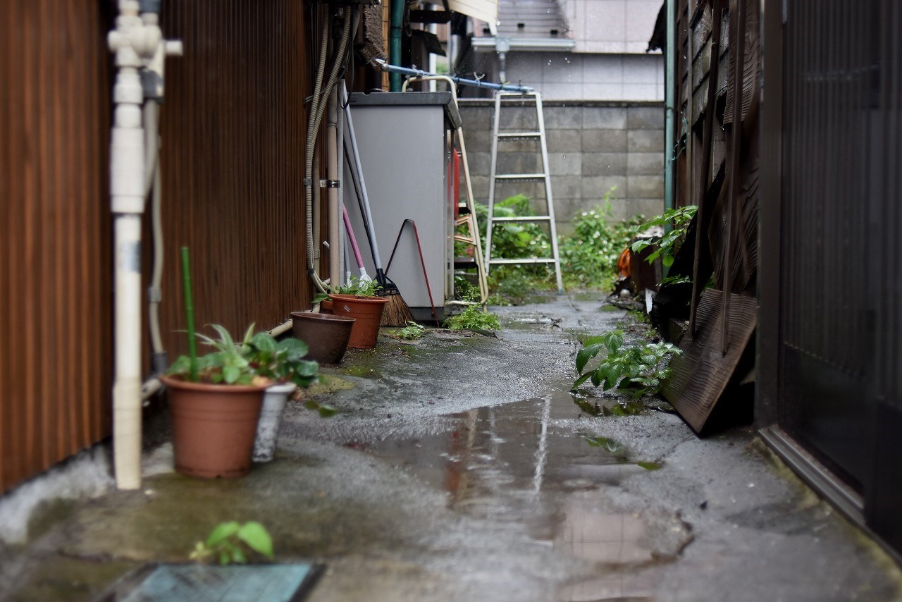 梅雨あけましておめでとうＯ(≧▽≦)Ｏ _d0065116_23044622.jpg