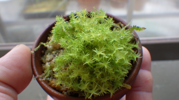 d0187020_12542505.jpg
