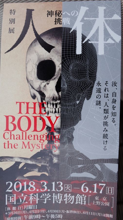 「人体」神秘への挑戦　特別展・・・国立科学博物館へ見に行った_a0031821_16531492.jpg