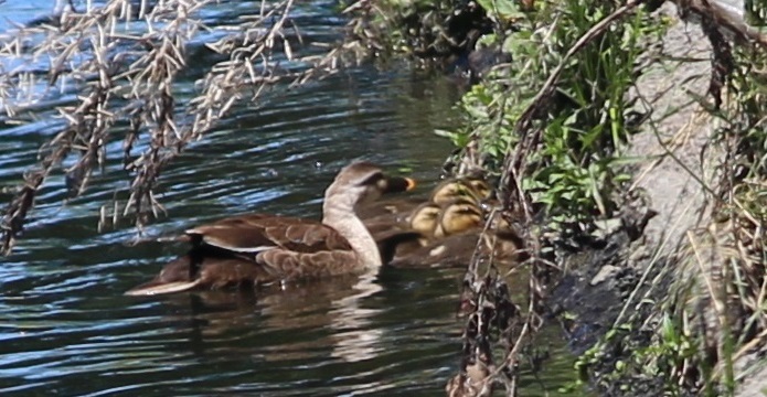 c0280322_22445117.jpg