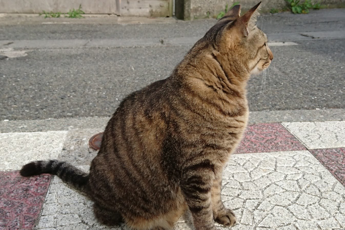 d0372528_14341929.jpg