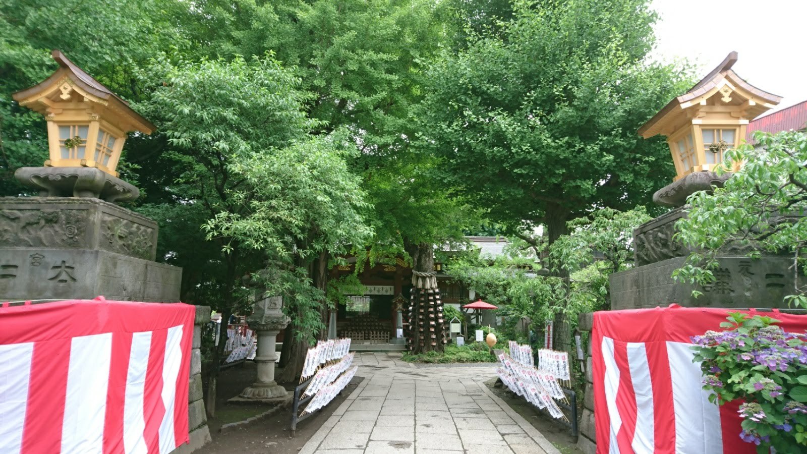 「すさのお神社の茅の輪くぐり」_d0372528_23402390.jpg