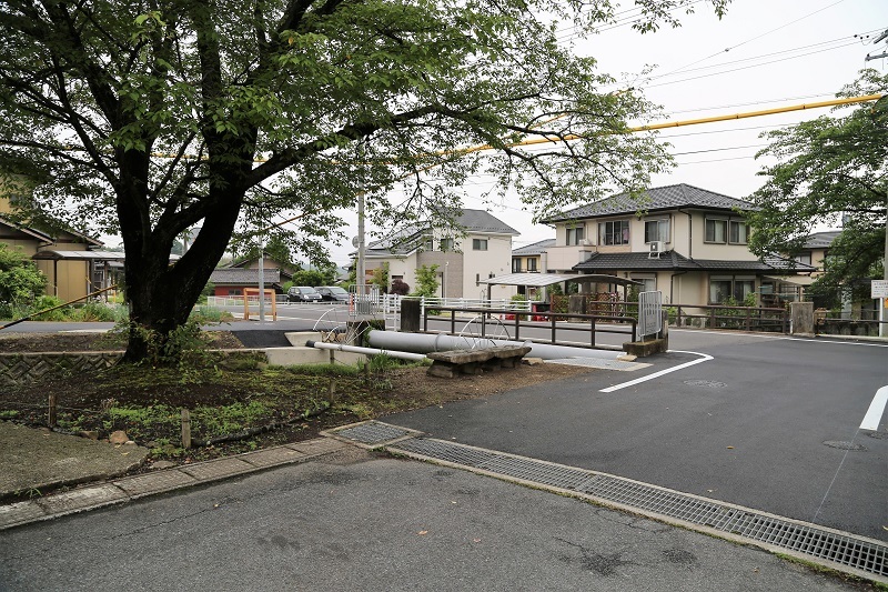 ヤマザクラとベンチ_f0076731_20555033.jpg