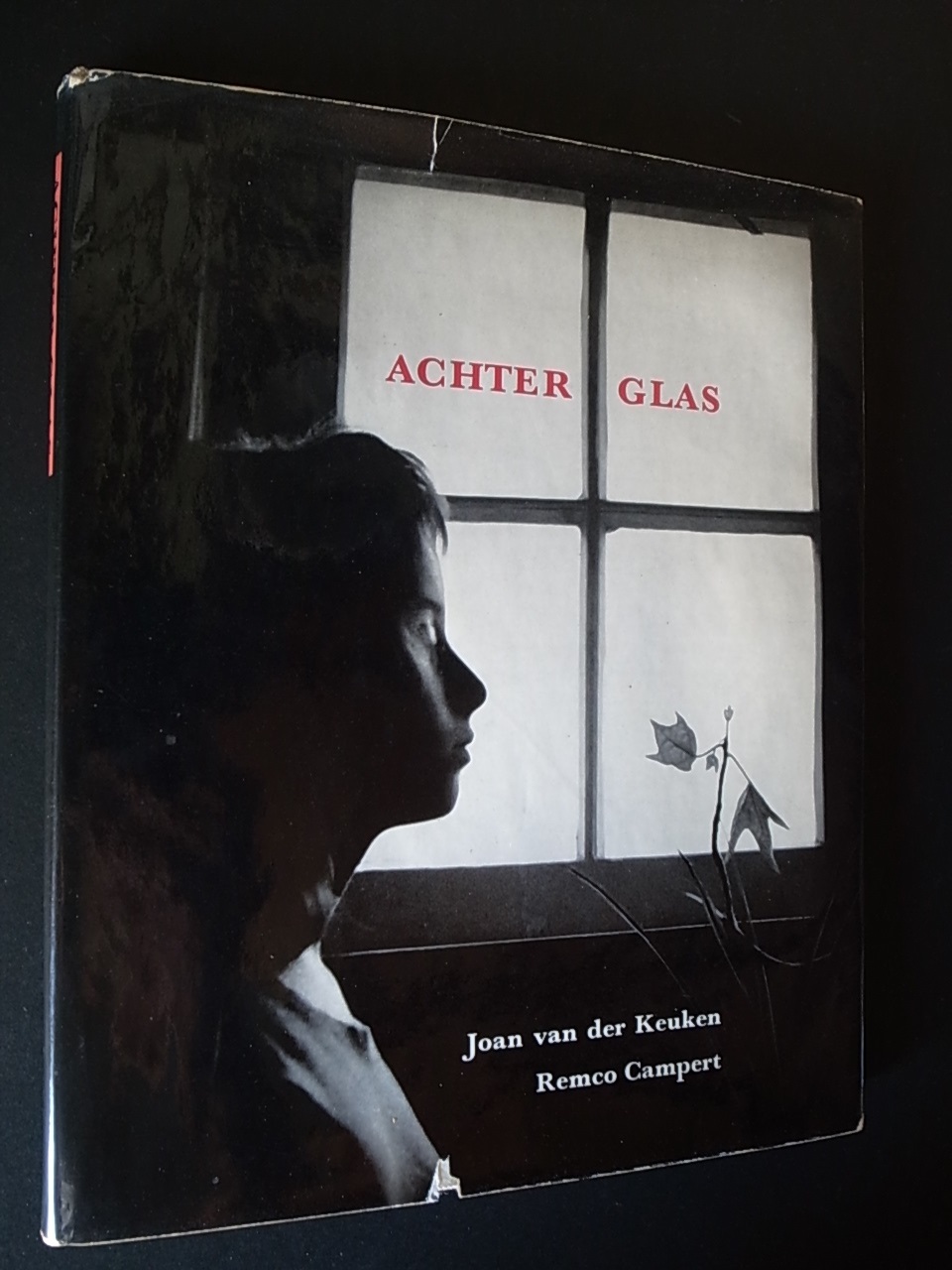 ACHTER GLAS / Joan van der Keuken (Johan van der Keuken), Remco