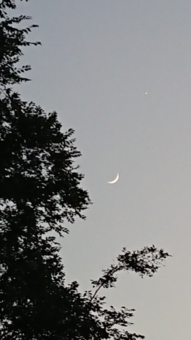 c0175339_19495501.jpg