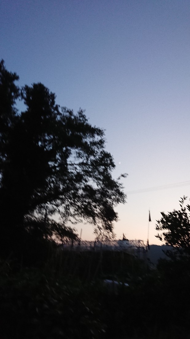 c0175339_19495540.jpg