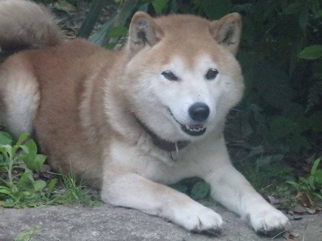 a0054240_21310991.jpg
