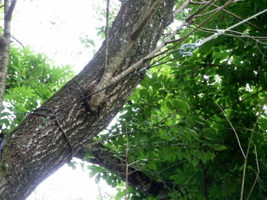 c0063348_17222042.jpg