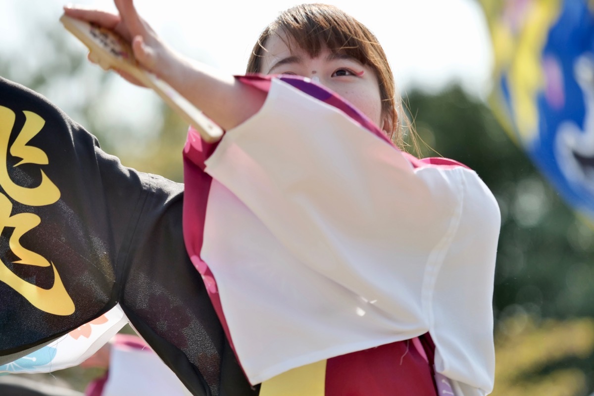 ２０１８川棚菜の花よさこいその５３（九州看護福祉大学飛翔隊その２）_a0009554_23103539.jpg