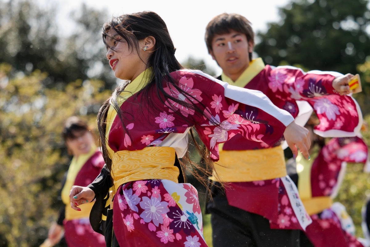 ２０１８川棚菜の花よさこいその５３（九州看護福祉大学飛翔隊その２）_a0009554_23111707.jpg