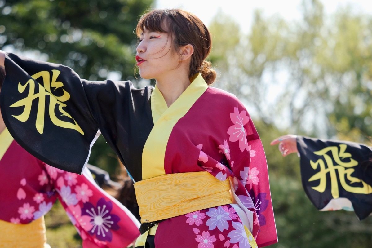 ２０１８川棚菜の花よさこいその５３（九州看護福祉大学飛翔隊その２）_a0009554_23133388.jpg