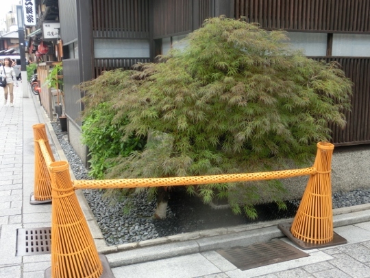 c0328559_16215878.jpg
