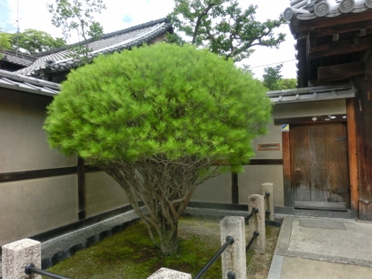 c0328559_16231867.jpg