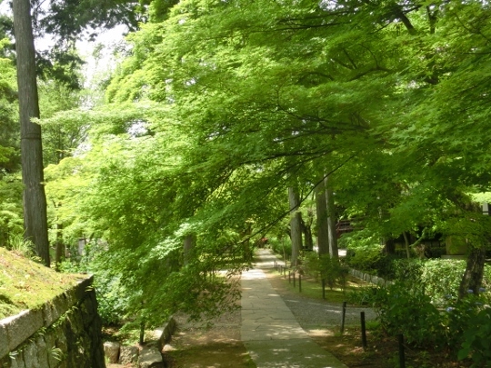 c0328559_16311999.jpg