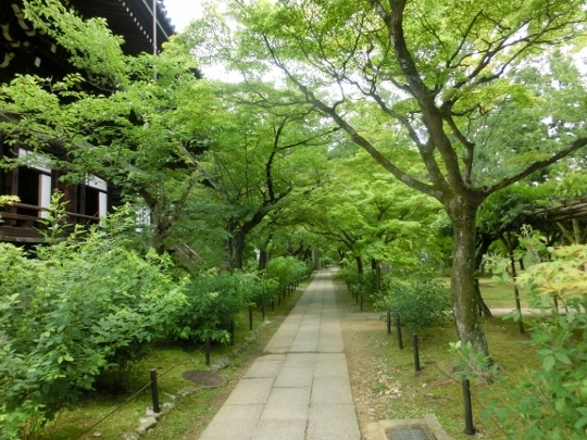 c0328559_16313898.jpg